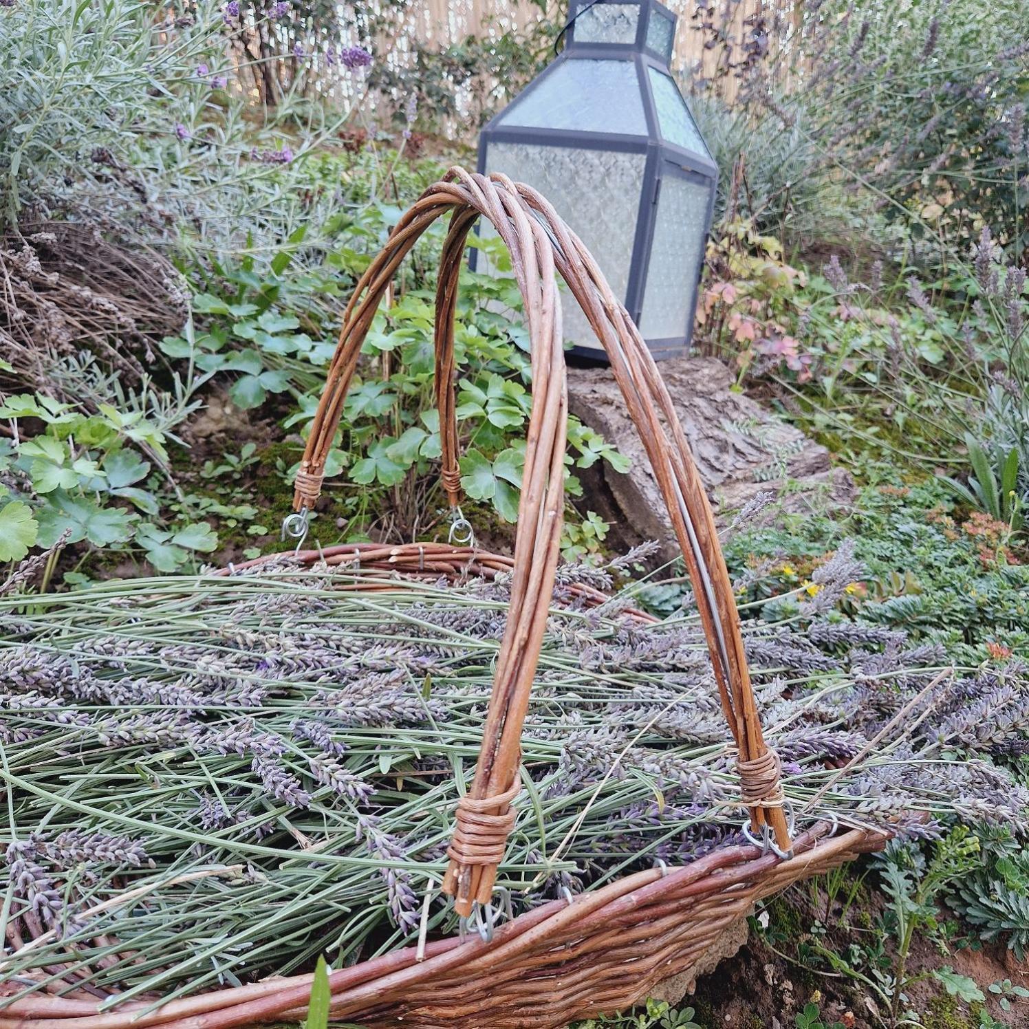 Pencin Villa Follemira Cz - Kitchen - Garden - Bike Storage מראה חיצוני תמונה